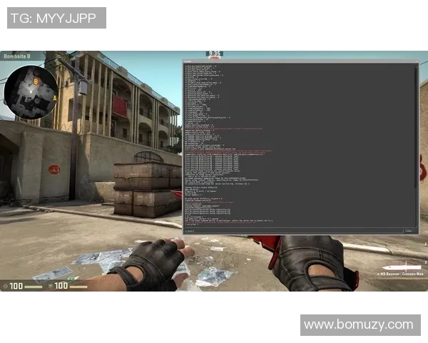 专访赵秀英:探寻CSGO成功背后的秘诀与发展之路