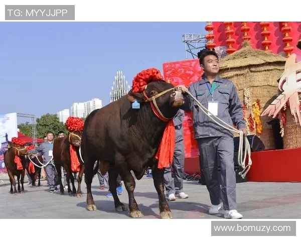 中乙联赛精彩对决淄博队迎战陕西队直播盛况全程呈现