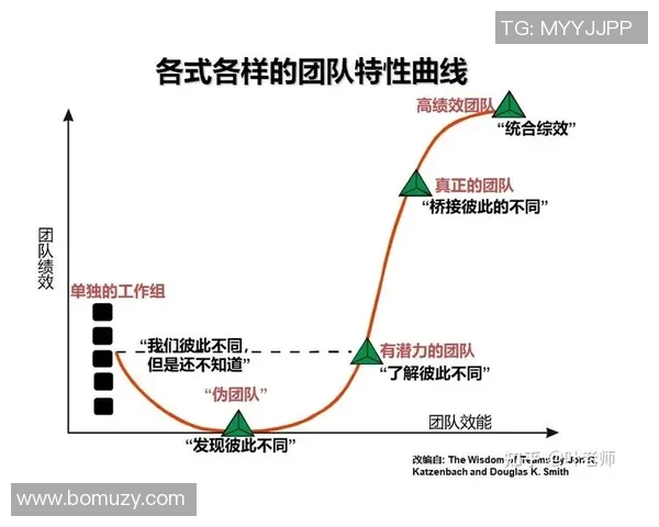 北京排球队在邀请赛中的团队协作表现分析与评价MBA